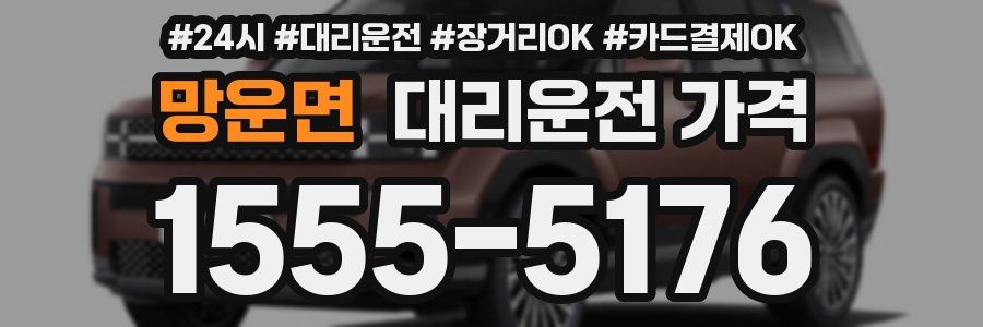 망운면 대리운전 가격