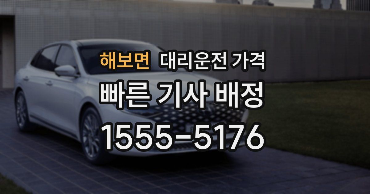 해보면 대리운전 가격