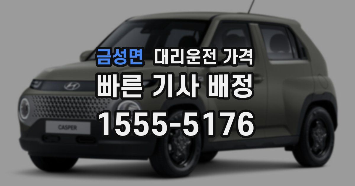 금성면 대리운전 가격