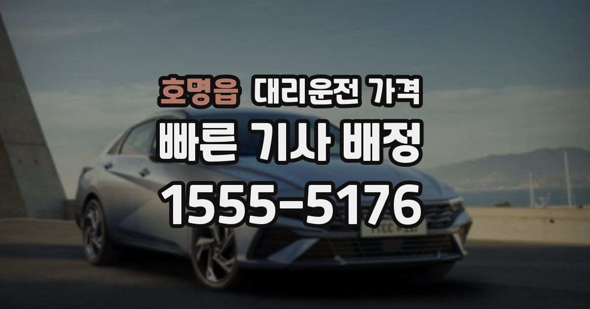 호명읍 대리운전 가격