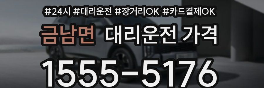 금남면 대리운전 가격