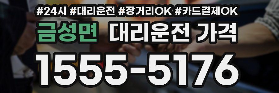 금성면 대리운전 가격