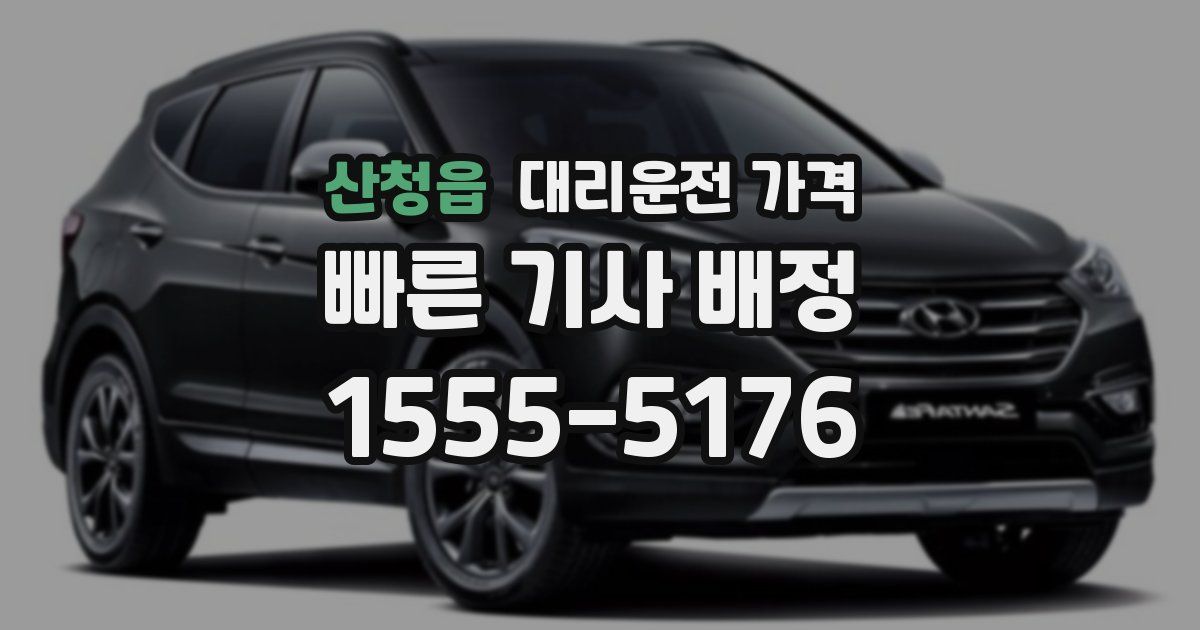 산청읍 대리운전 가격