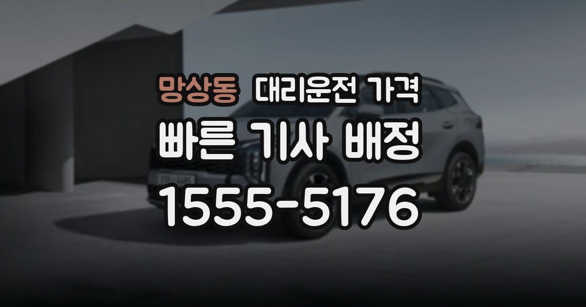 망상동 대리운전 가격