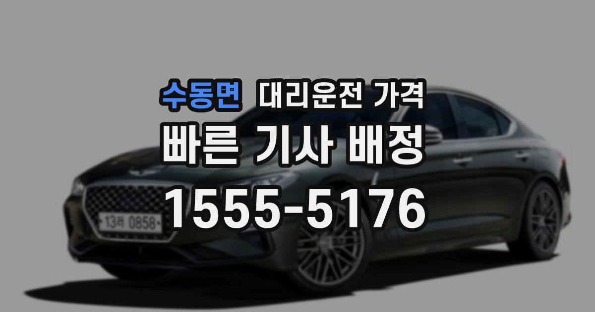 수동면 대리운전 가격