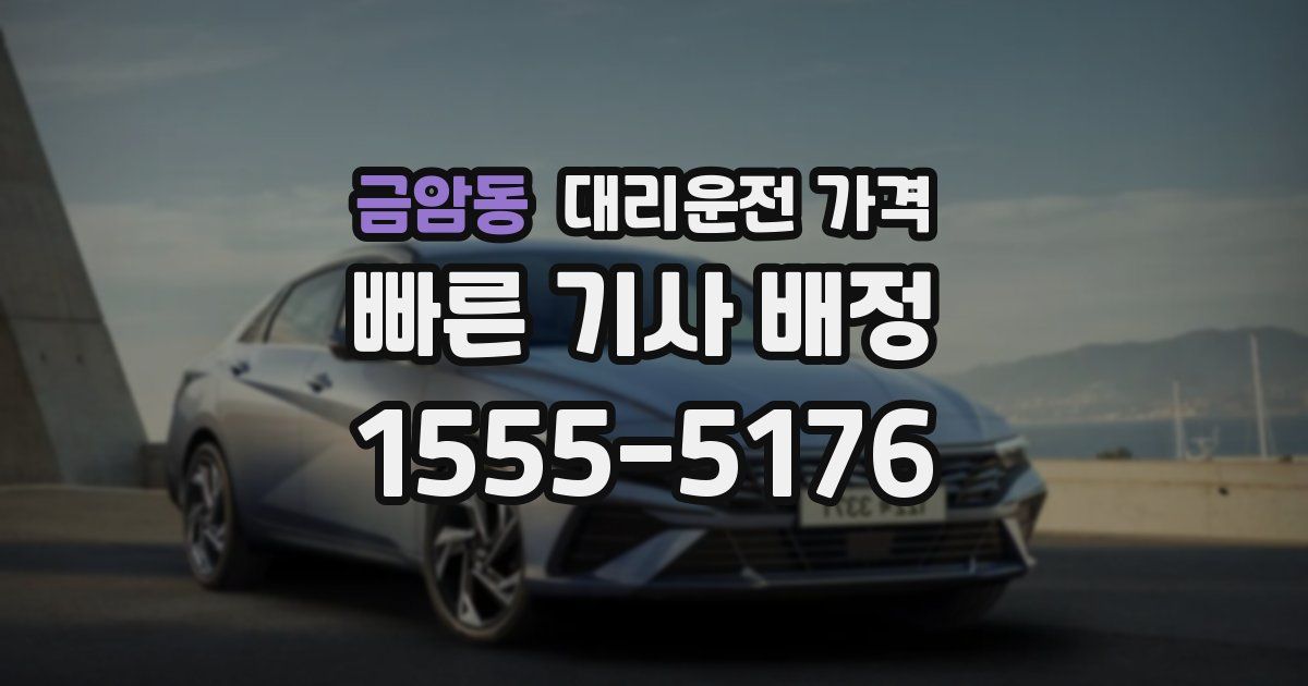 금암동 대리운전 가격