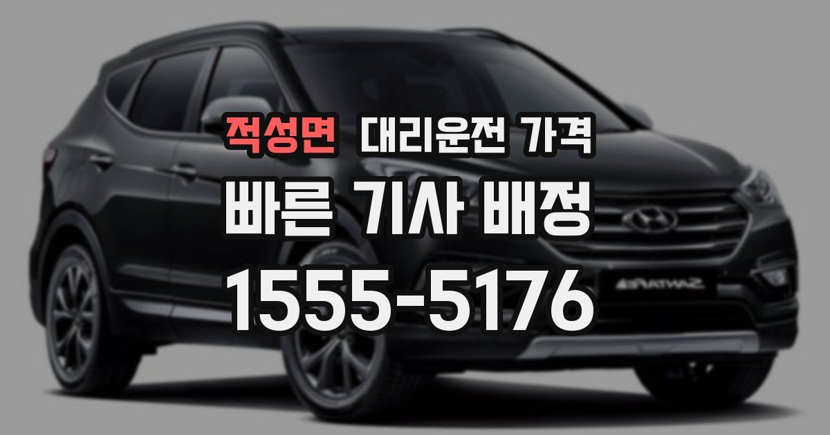 적성면 대리운전 가격