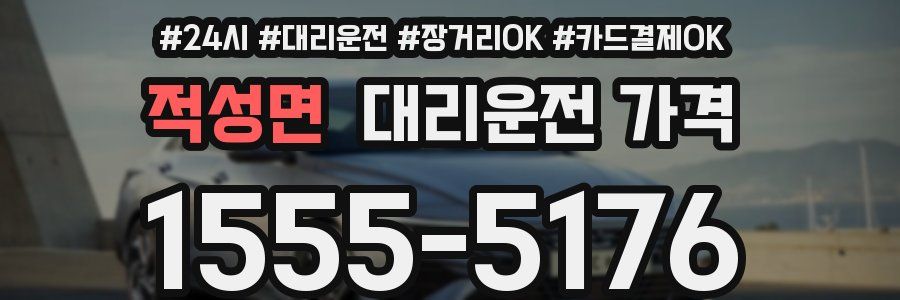 적성면 대리운전 가격