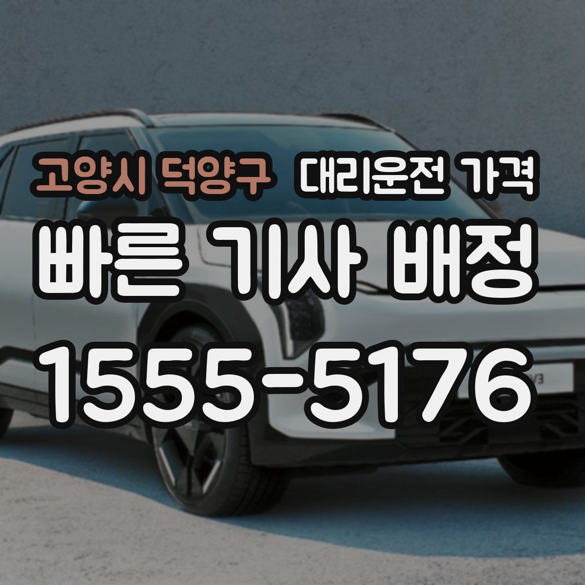 고양시 덕양구 대리운전