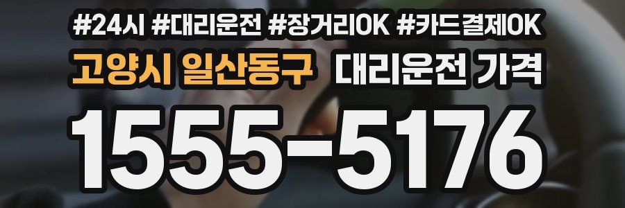 고양시 일산동구 대리운전 가격