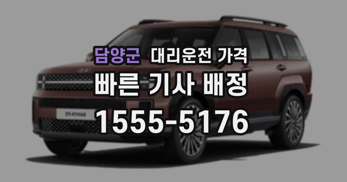 담양군 대리운전 가격