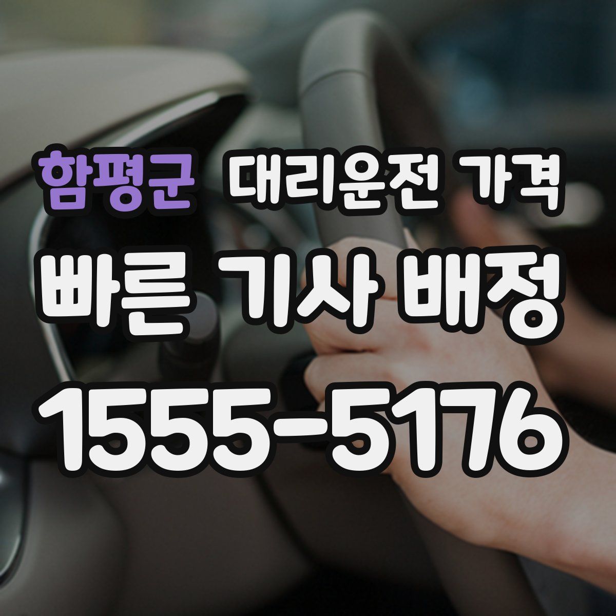 함평군 대리운전