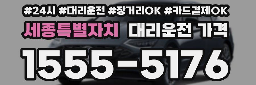 세종특별자치 대리운전 가격