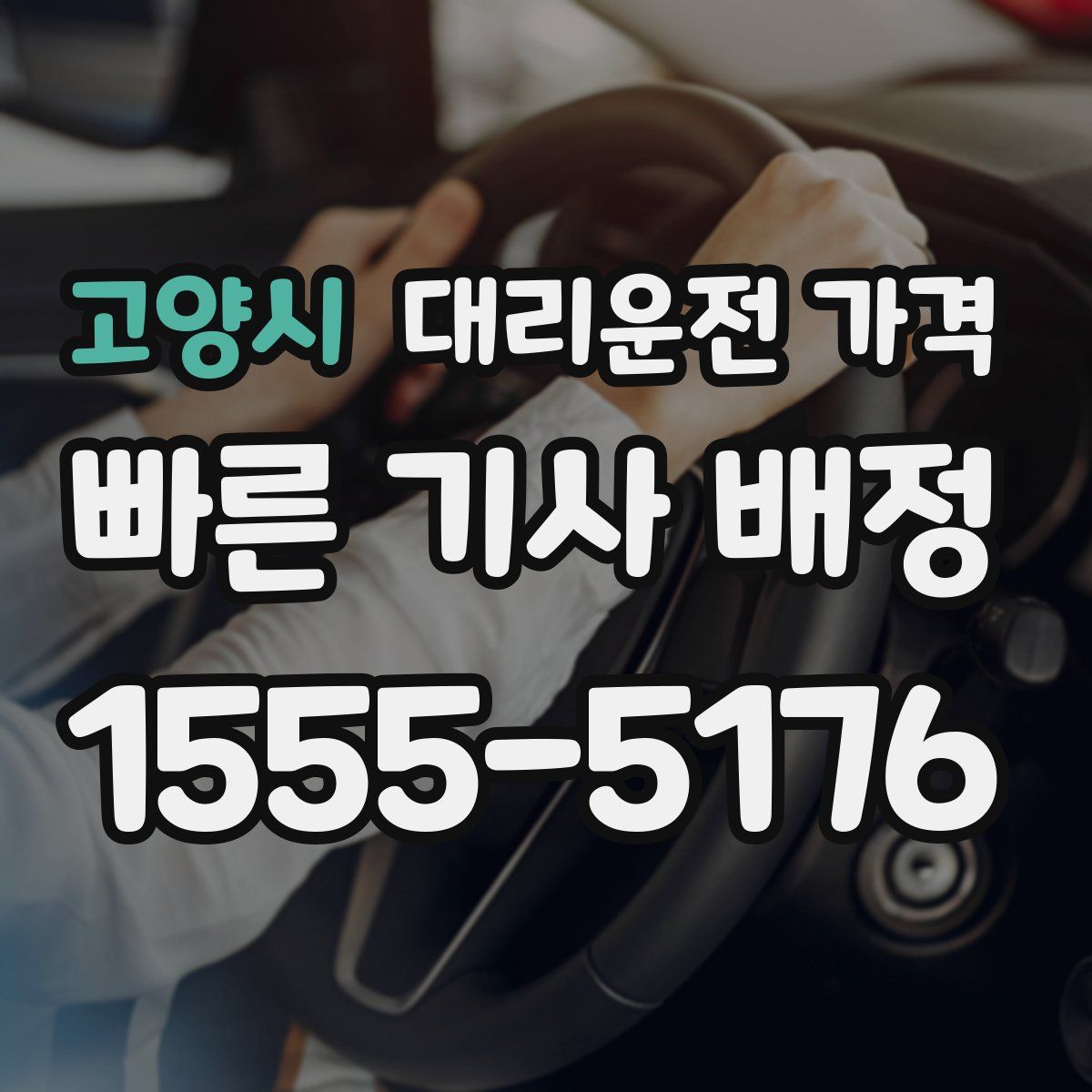 고양시 대리운전