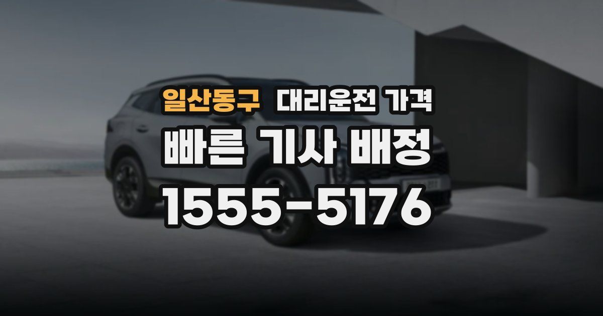 일산동구 대리운전 가격