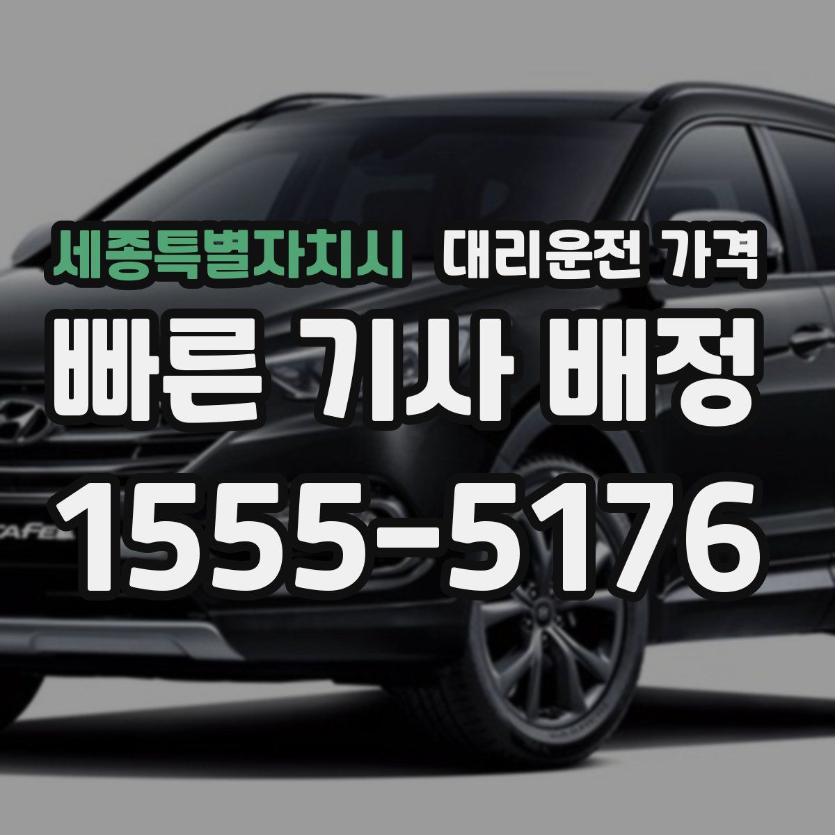 세종특별자치시 대리운전