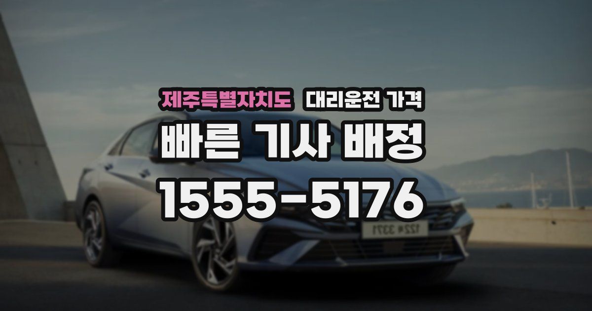 제주특별자치도 대리운전 가격