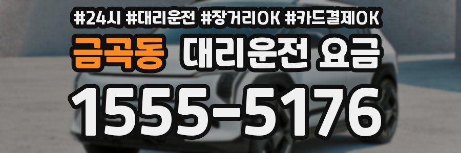 금곡동 대리운전 요금