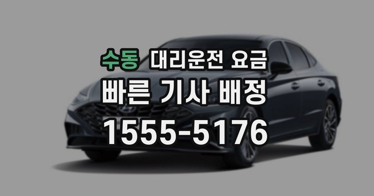 수동 대리운전 가격