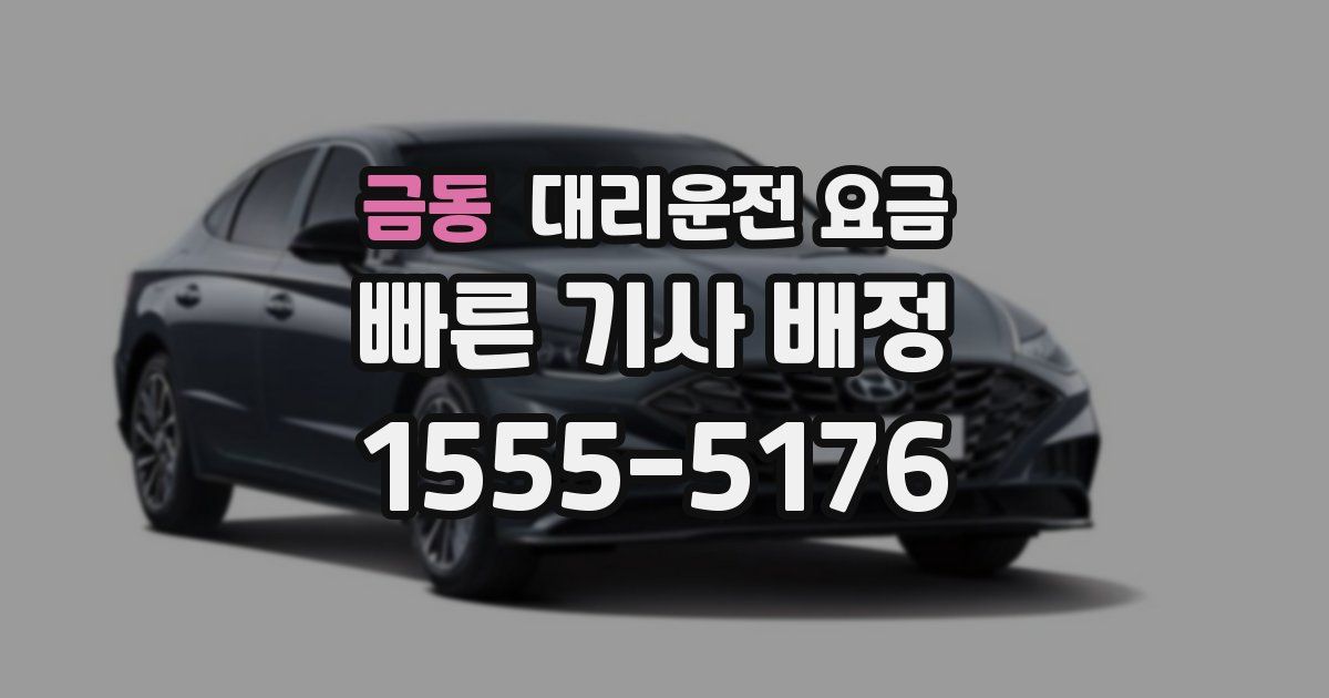 금동 대리운전 가격