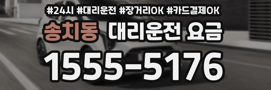 송치동 대리운전 요금