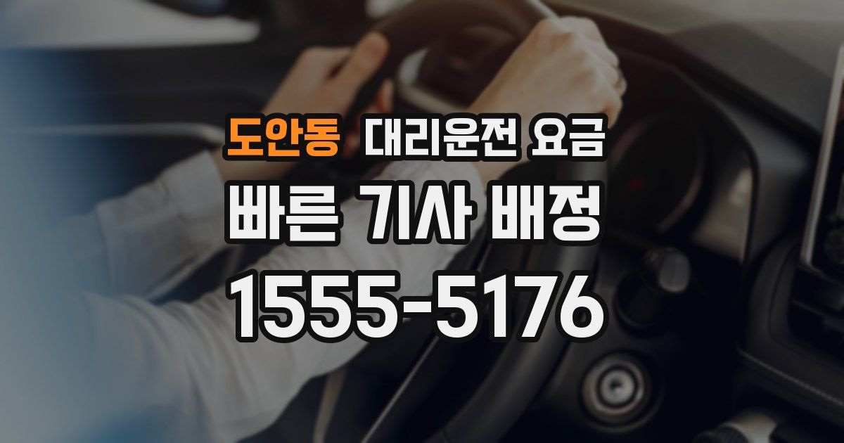도안동 대리운전 가격