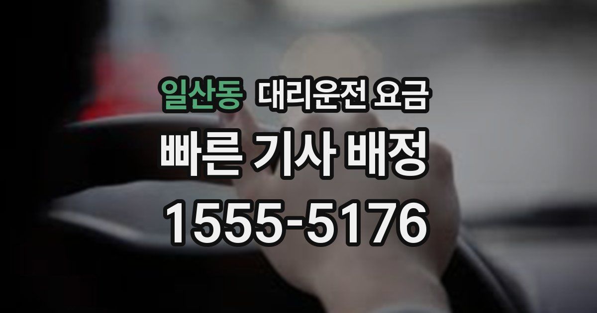 일산동 대리운전 가격