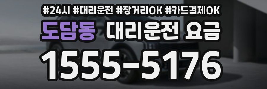 도담동 대리운전 요금