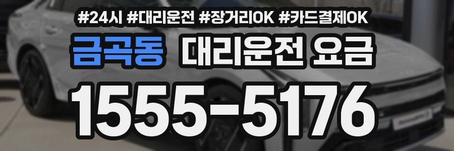 금곡동 대리운전 요금