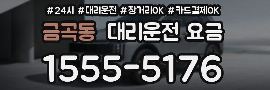 금곡동 대리운전 요금
