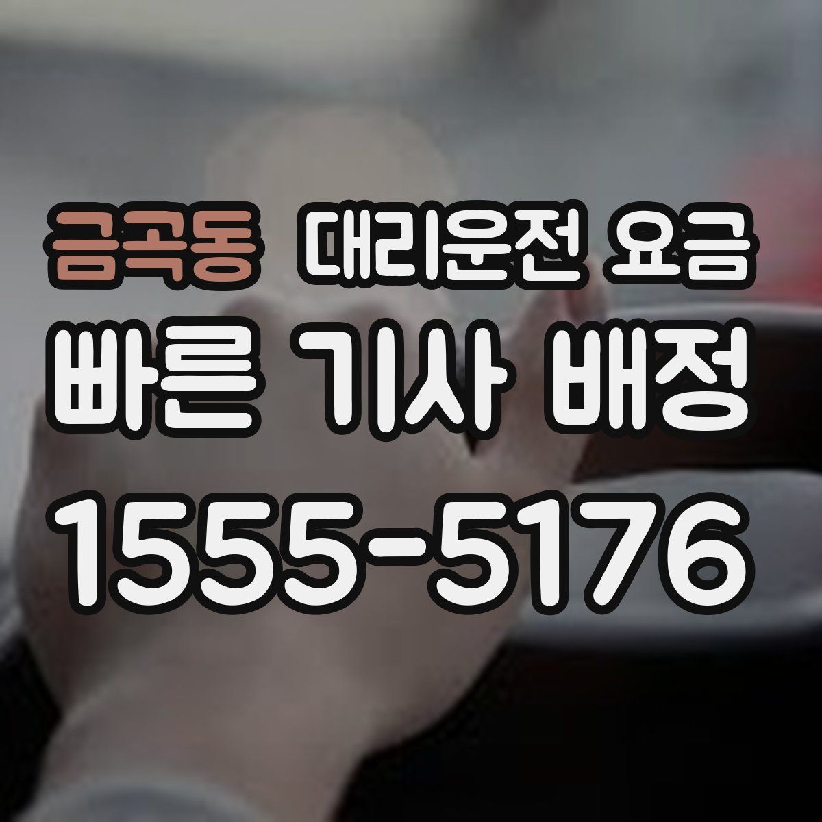 금곡동 대리운전
