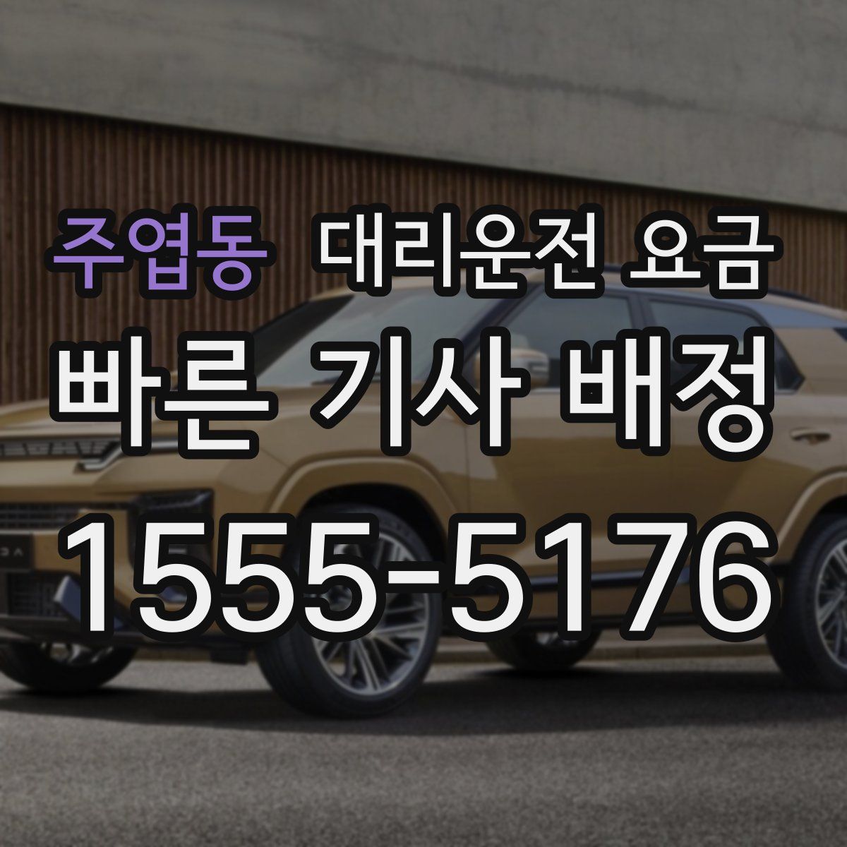 주엽동 대리운전