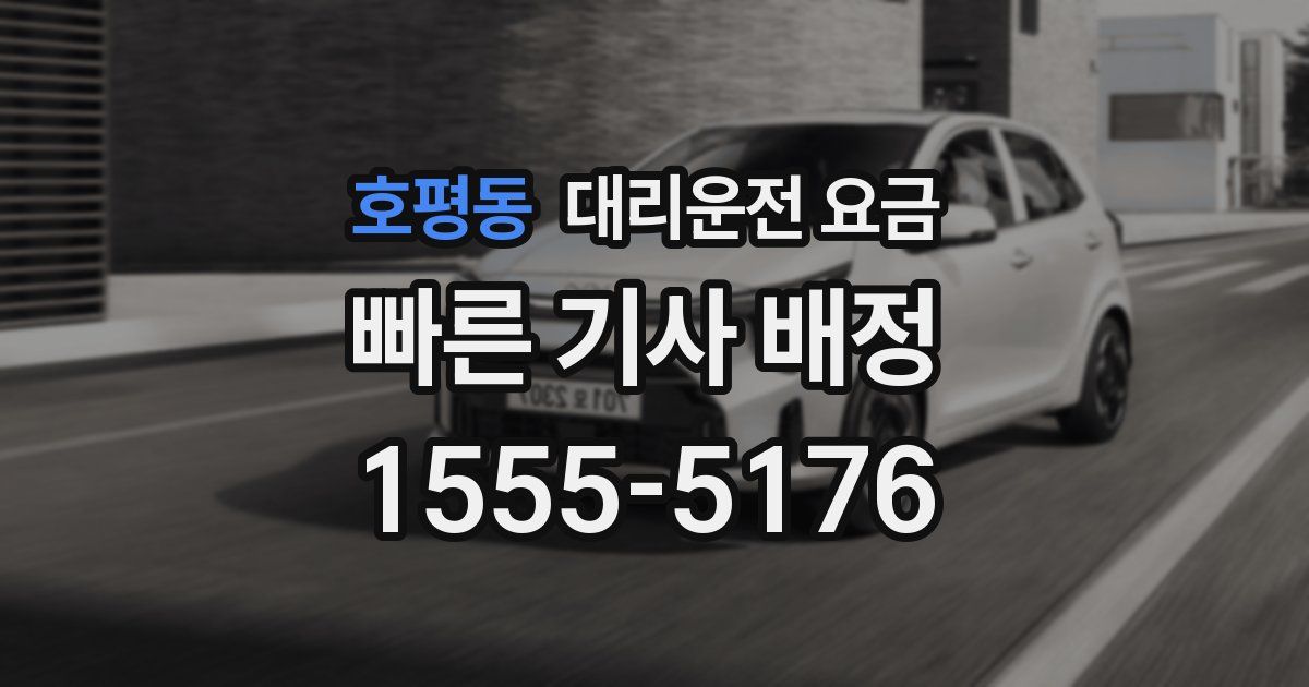 호평동 대리운전 가격