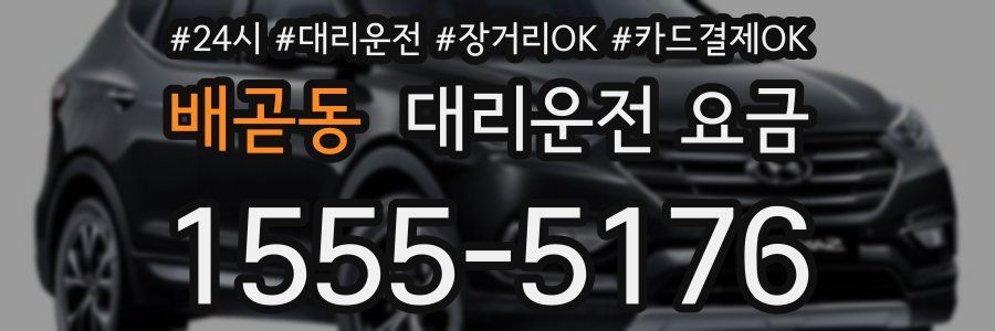 배곧동 대리운전 요금