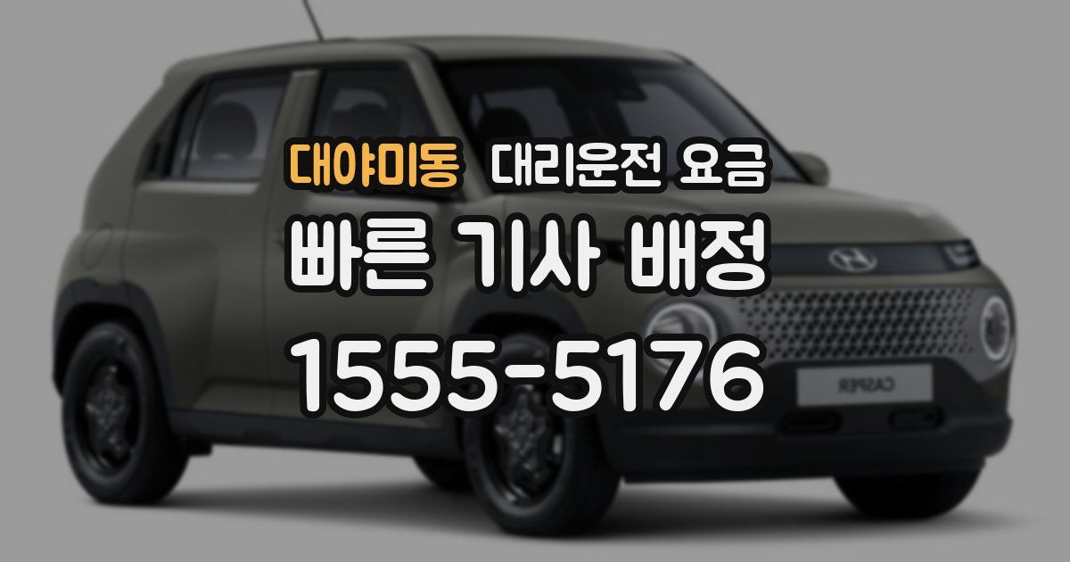 대야미동 대리운전 가격