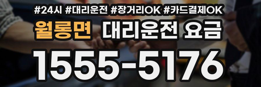 월롱면 대리운전 요금