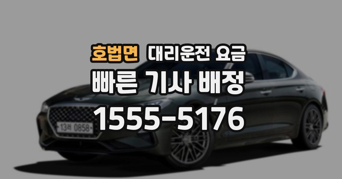 호법면 대리운전 가격