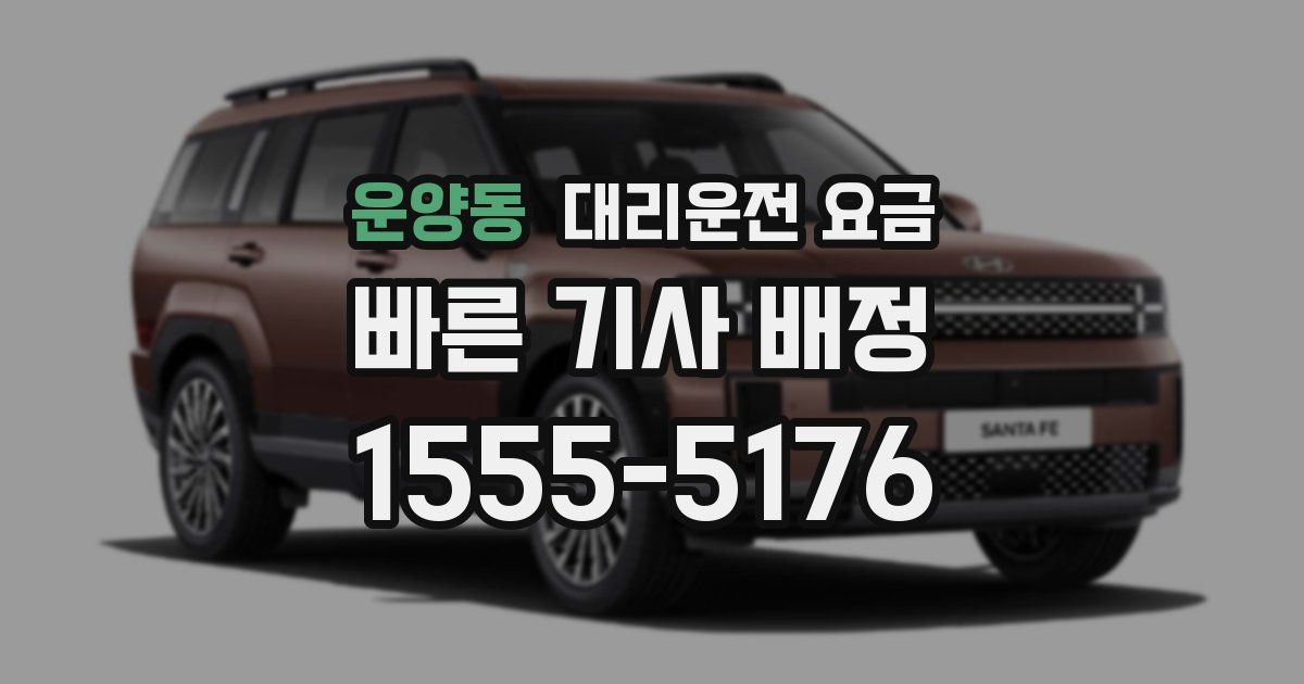 운양동 대리운전 가격