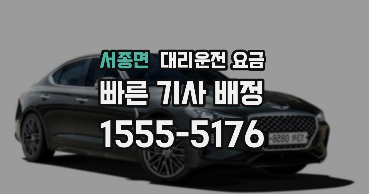 서종면 대리운전 가격