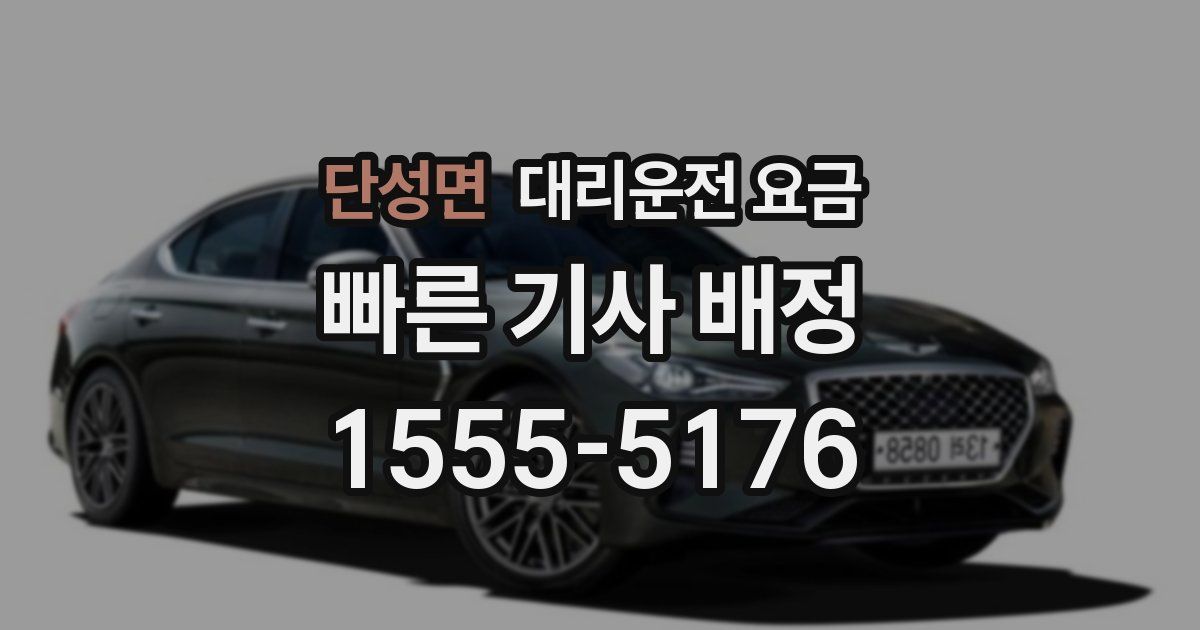 단성면 대리운전 가격