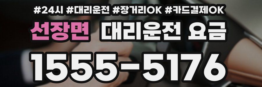 선장면 대리운전 요금