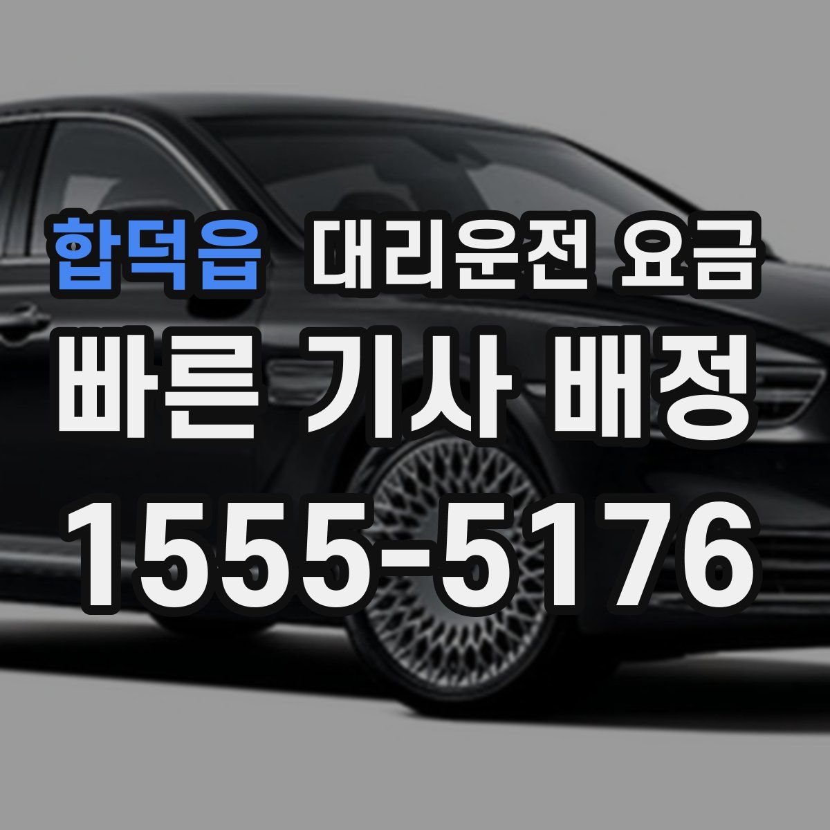 합덕읍 대리운전