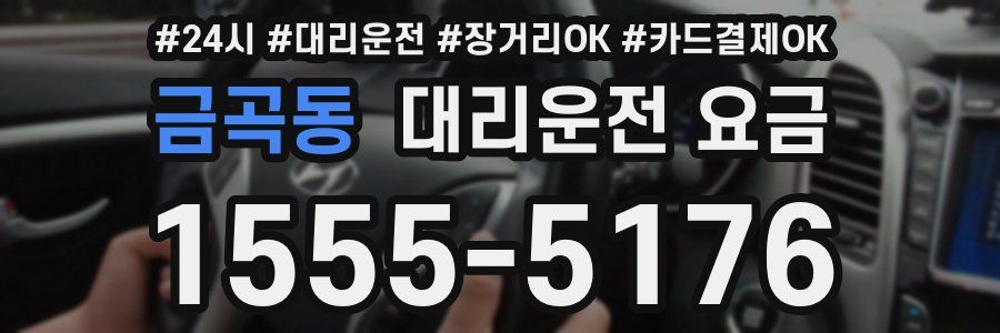금곡동 대리운전 요금