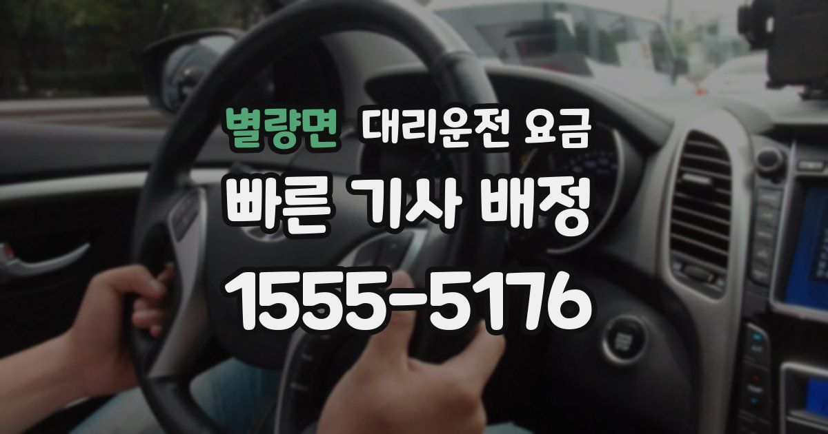 별량면 대리운전 가격
