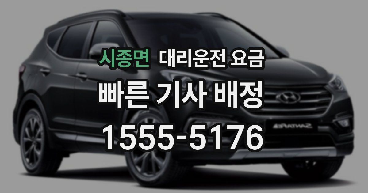 시종면 대리운전 가격