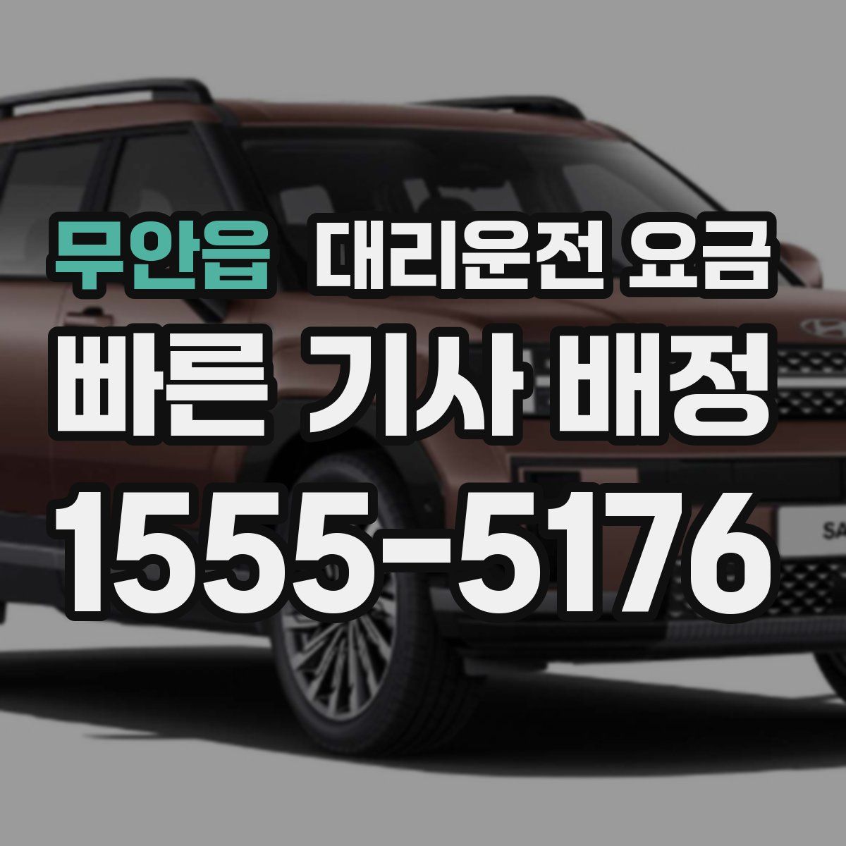 무안읍 대리운전