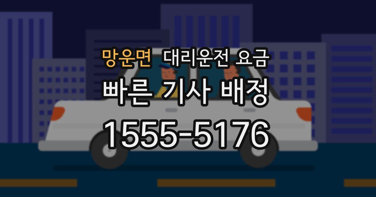 망운면 대리운전 가격