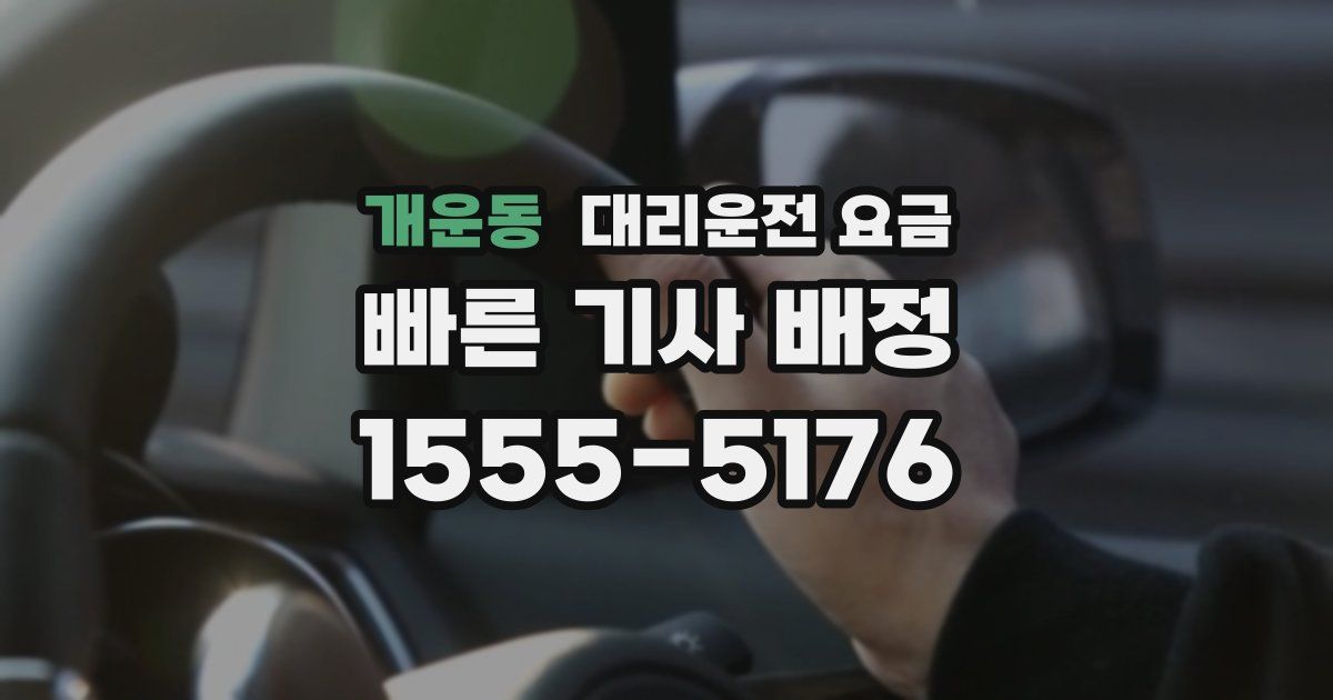 개운동 대리운전 가격