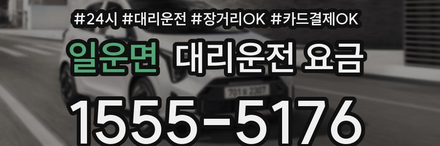 일운면 대리운전 요금