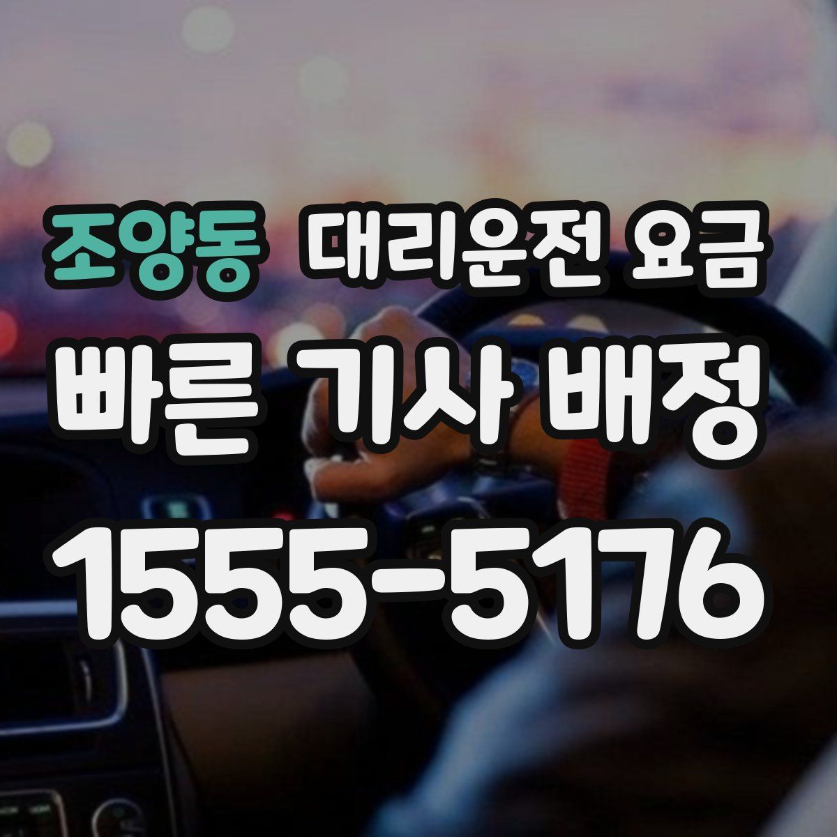 조양동 대리운전